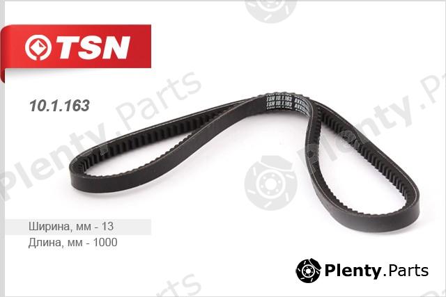  TSN part 101163 Replacement part