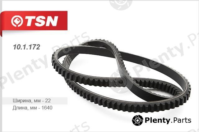  TSN part 101172 Replacement part