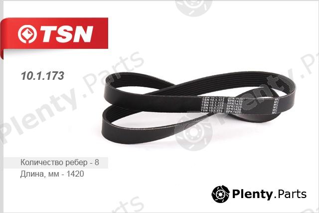  TSN part 101173 Replacement part