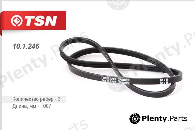  TSN part 10.1.246 (101246) Replacement part