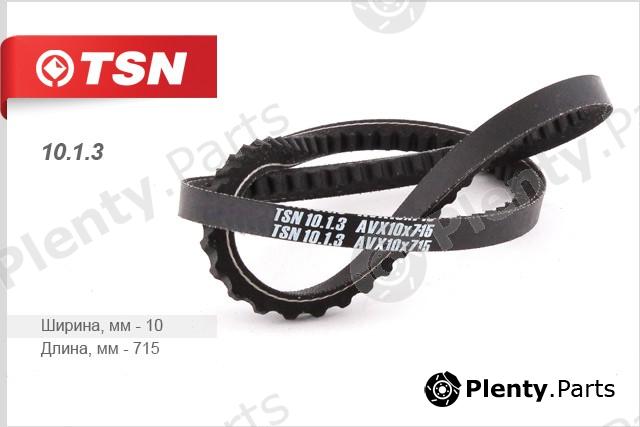  TSN part 10.1.3 (1013) Replacement part