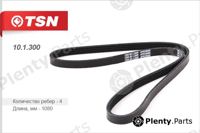  TSN part 101300 Replacement part