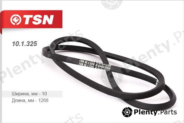  TSN part 101325 Replacement part
