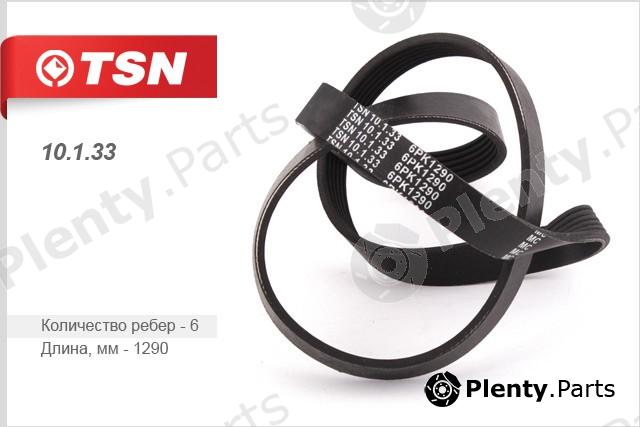  TSN part 10133 Replacement part