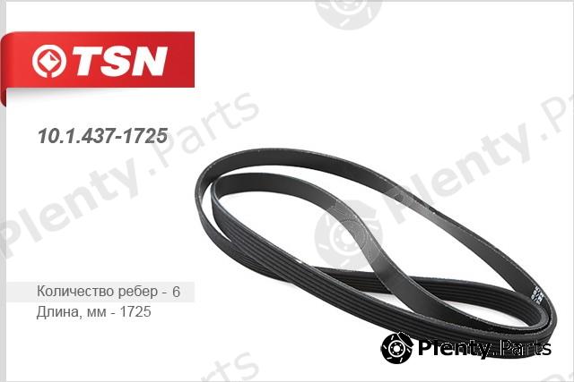  TSN part 10.1.437-1725 (1014371725) Replacement part