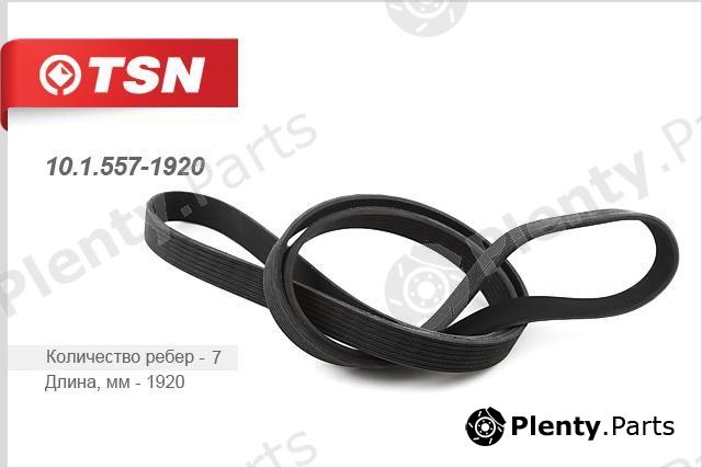  TSN part 10.1.557-1920 (1015571920) Replacement part