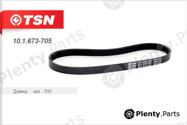  TSN part 10.1.673-705 (101673705) Replacement part