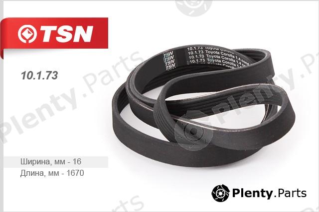  TSN part 10173 Replacement part