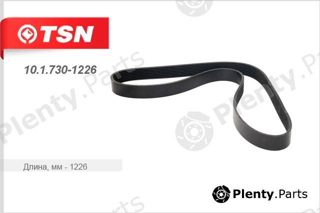  TSN part 1017301226 Replacement part
