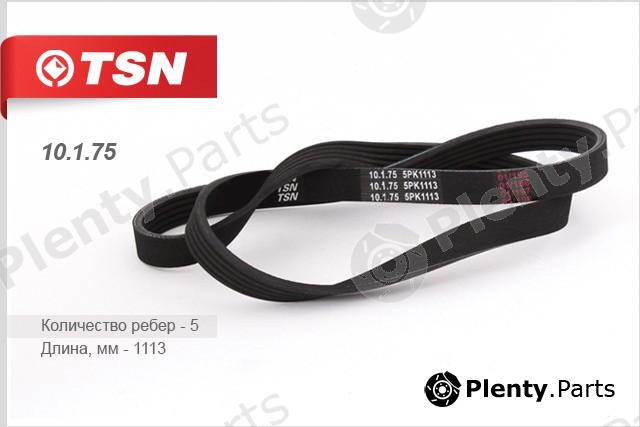  TSN part 10175 Replacement part