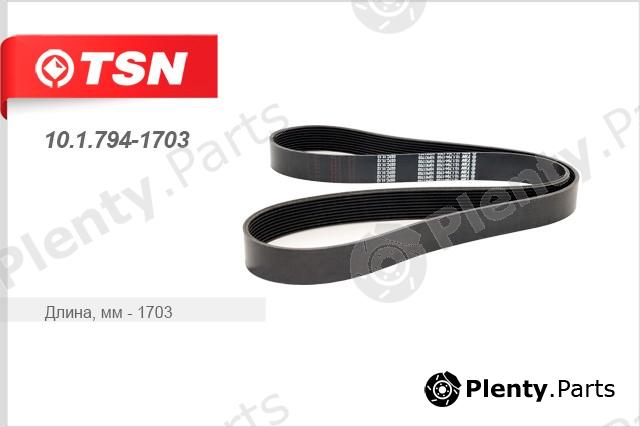  TSN part 1017941703 Replacement part
