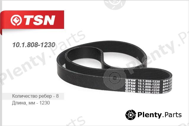  TSN part 1018081230 Replacement part