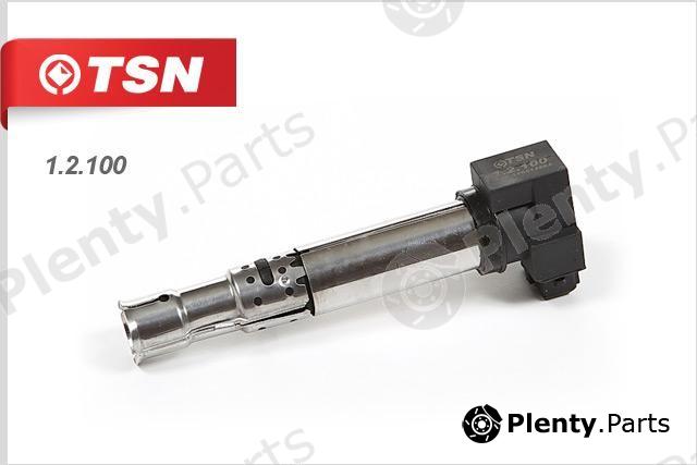  TSN part 1.2.100 (12100) Replacement part