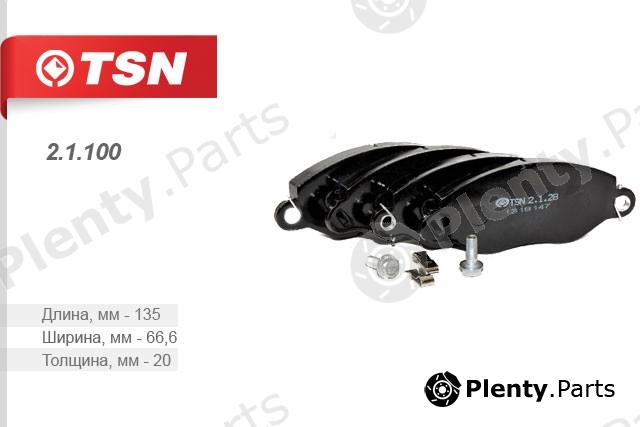  TSN part 2.1.100 (21100) Replacement part