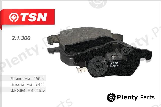  TSN part 2.1.300 (21300) Replacement part