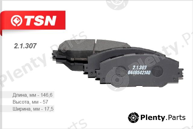  TSN part 2.1.307 (21307) Replacement part