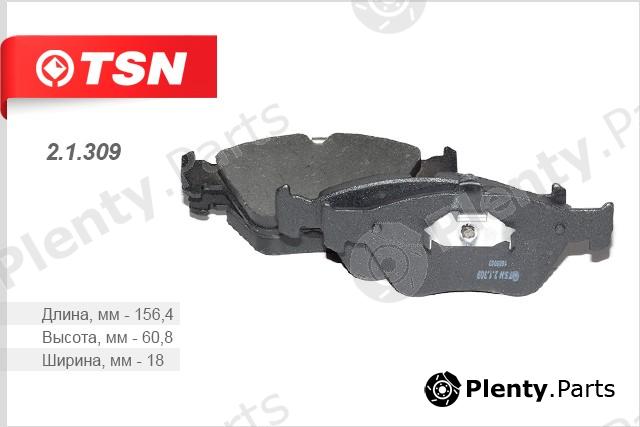  TSN part 2.1.309 (21309) Replacement part