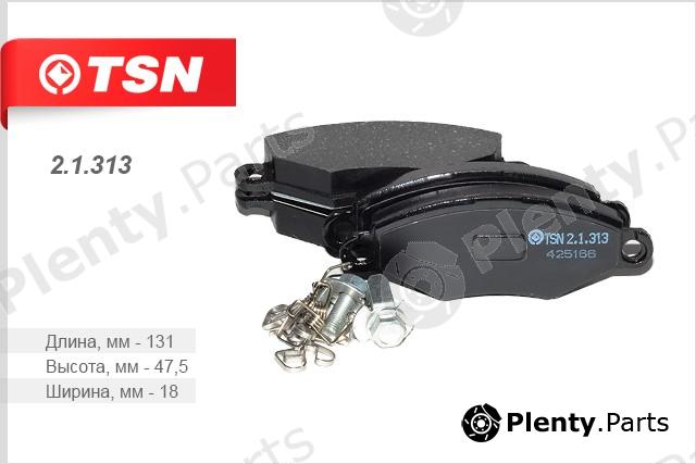  TSN part 2.1.313 (21313) Replacement part
