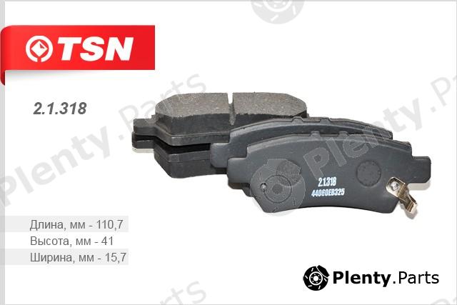  TSN part 2.1.318 (21318) Replacement part