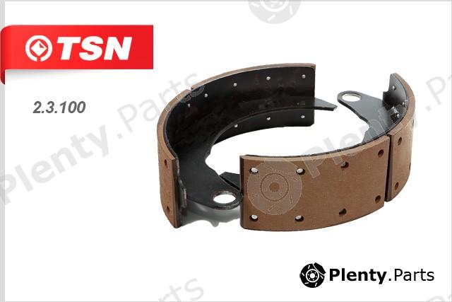  TSN part 23100 Replacement part