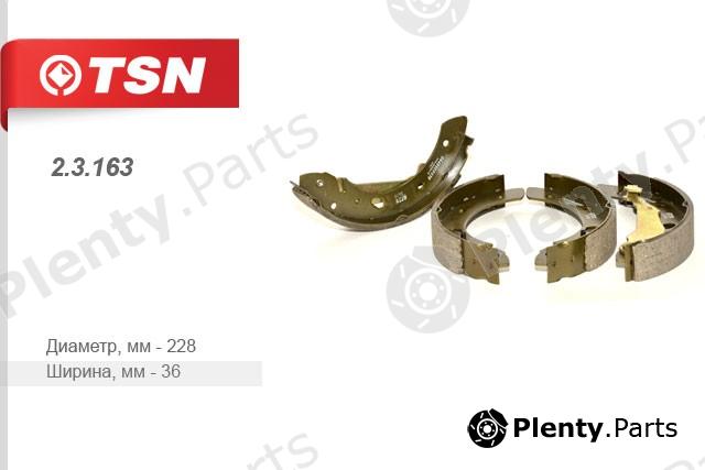  TSN part 2.3.163 (23163) Replacement part