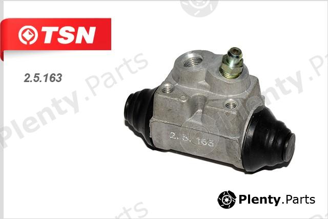  TSN part 2.5.163 (25163) Replacement part