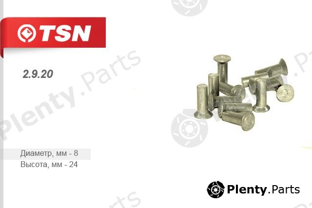  TSN part 2920 Replacement part