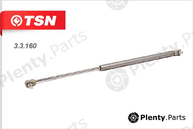  TSN part 3.3.160 (33160) Replacement part