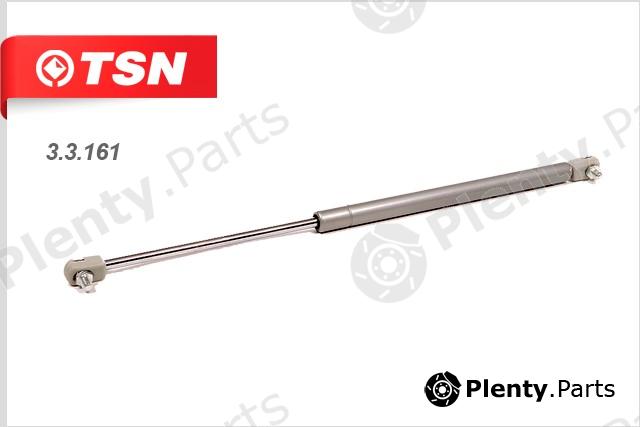  TSN part 3.3.161 (33161) Replacement part