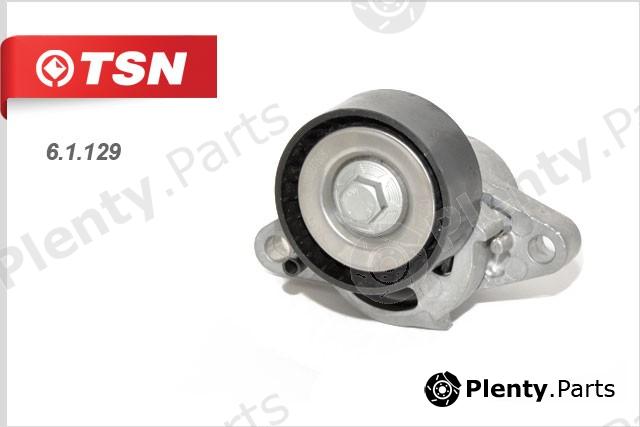  TSN part 61129 Replacement part