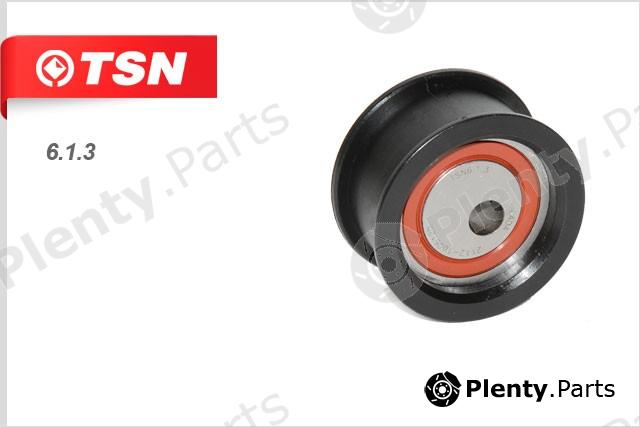  TSN part 6.1.3 (613) Replacement part