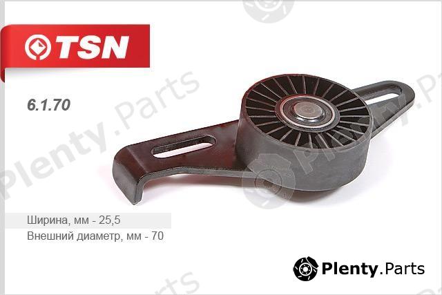  TSN part 6.1.70 (6170) Replacement part
