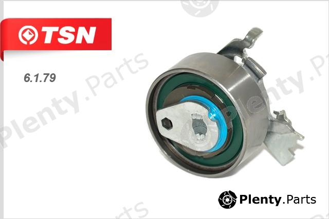  TSN part 6.1.79 (6179) Replacement part