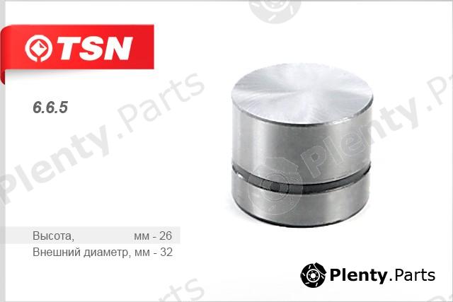  TSN part 6.6.5 (665) Replacement part