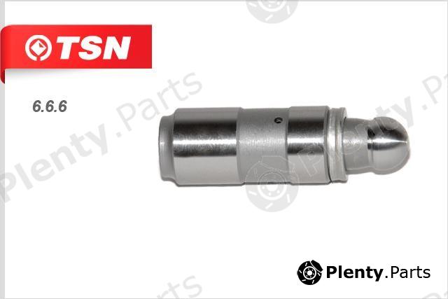  TSN part 6.6.6 (666) Replacement part
