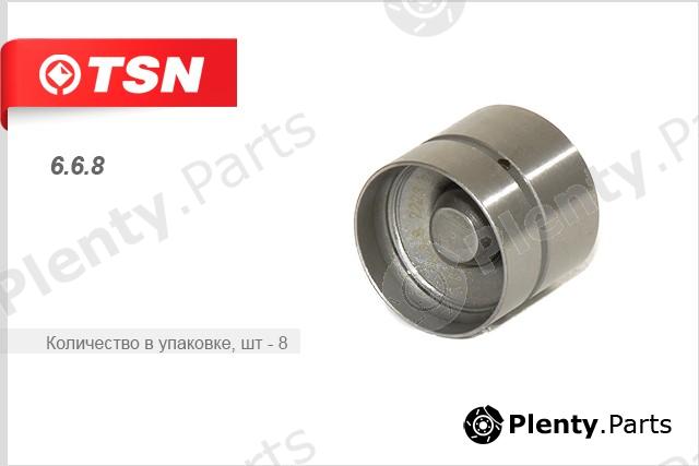  TSN part 6.6.8 (668) Replacement part