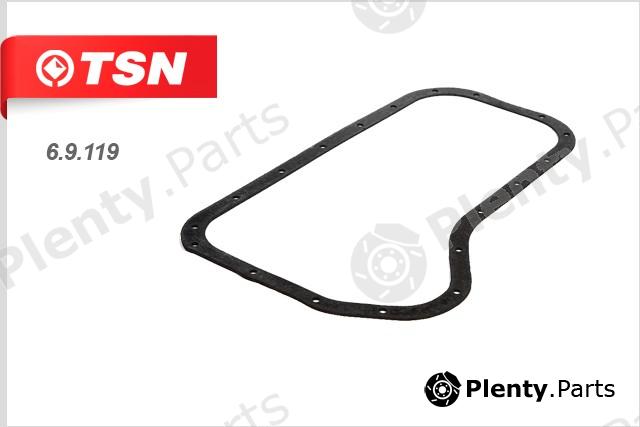 TSN part 69119 Replacement part