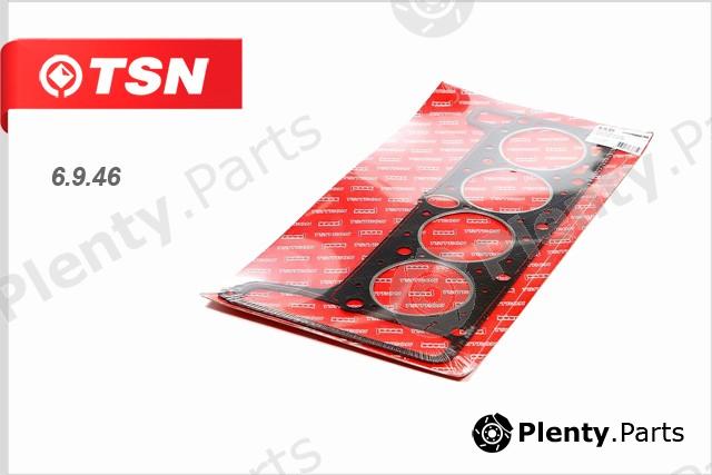  TSN part 6946 Replacement part