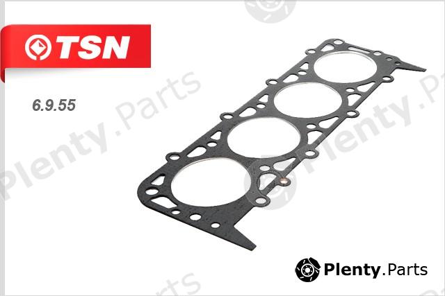  TSN part 6955 Replacement part
