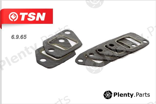  TSN part 6965 Replacement part