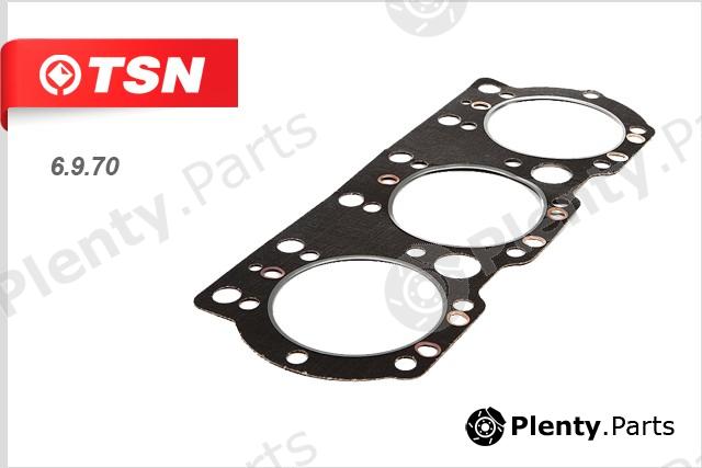  TSN part 6970 Replacement part