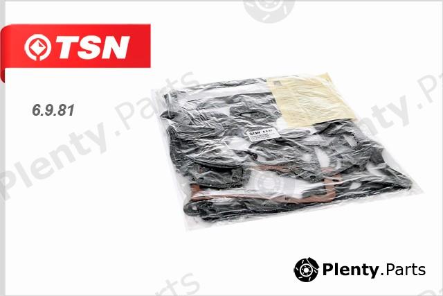  TSN part 6981 Replacement part