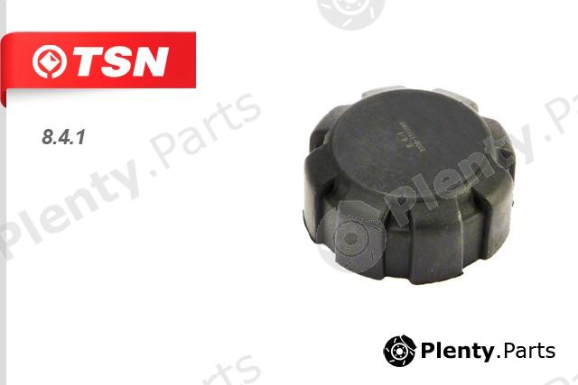  TSN part 8.4.1 (841) Replacement part