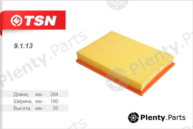  TSN part 9.1.13 (9113) Air Filter