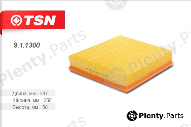  TSN part 9.1.1300 (911300) Replacement part