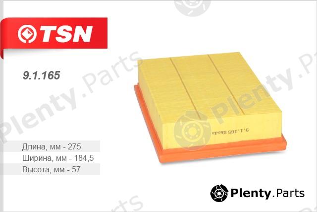  TSN part 91165 Air Filter