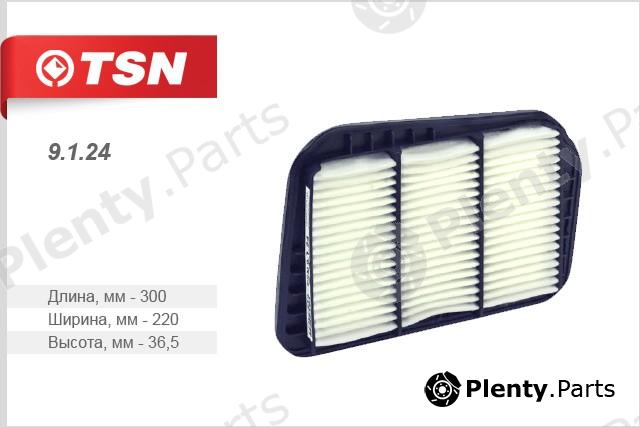  TSN part 9.1.24 (9124) Air Filter