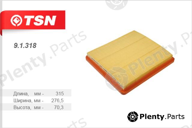  TSN part 91318 Air Filter