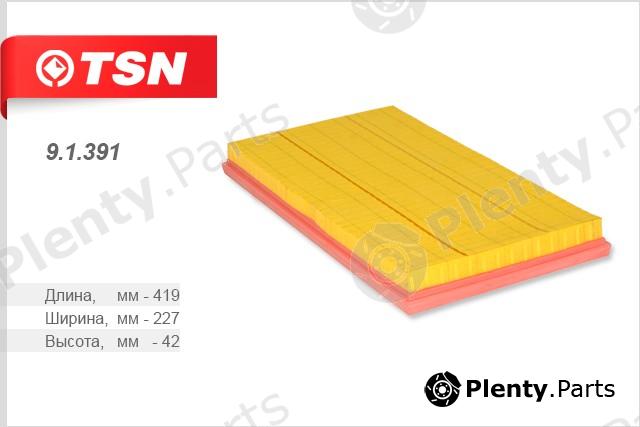  TSN part 9.1.391 (91391) Air Filter