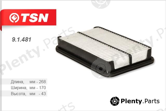  TSN part 9.1.481 (91481) Replacement part